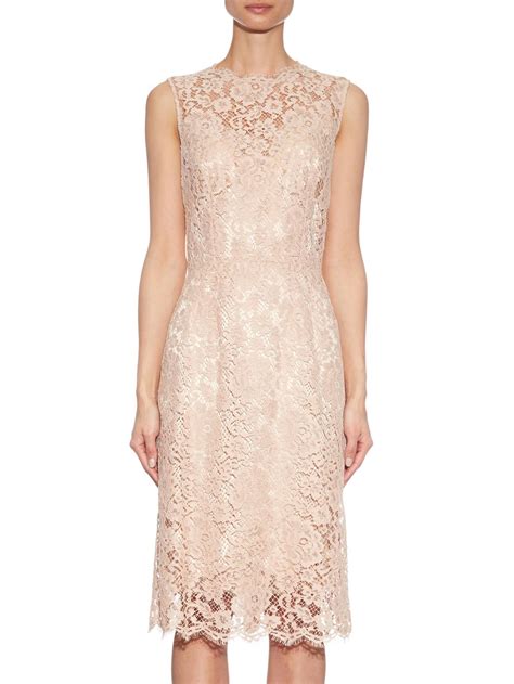 dolce gabbana pink lace dress.